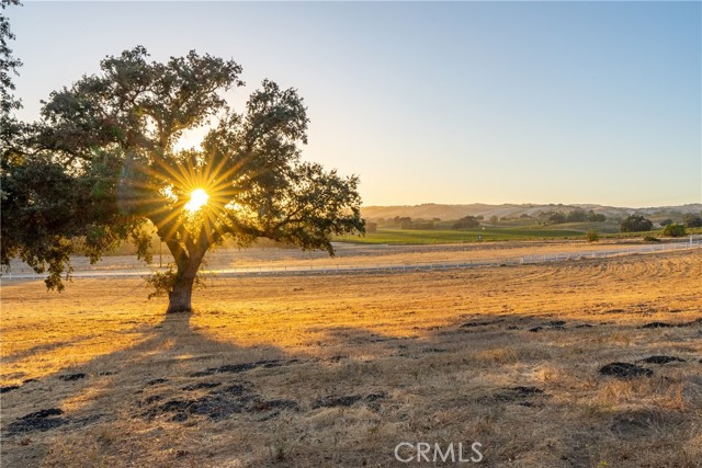 Detail Gallery Image 64 of 75 For 2120 Claassen Ranch Ln, Paso Robles,  CA 93446 - 3 Beds | 2 Baths