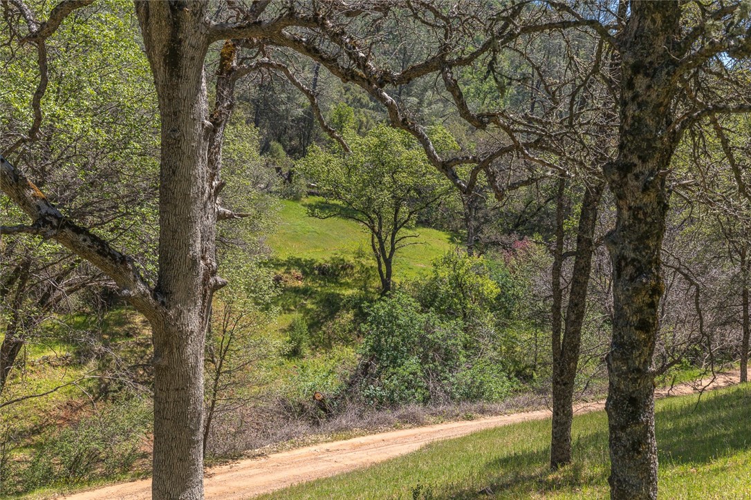 Detail Gallery Image 6 of 75 For 4743 Buffalo Gulch Rd, Midpines,  CA 95345 - – Beds | – Baths