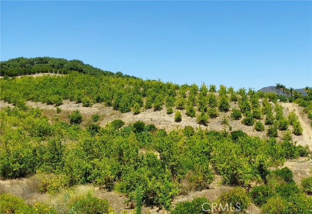 5 De Anza Road, Temecula CA: https://media.crmls.org/medias/7840b6ca-d138-47f7-a921-1a97d75661a8.jpg