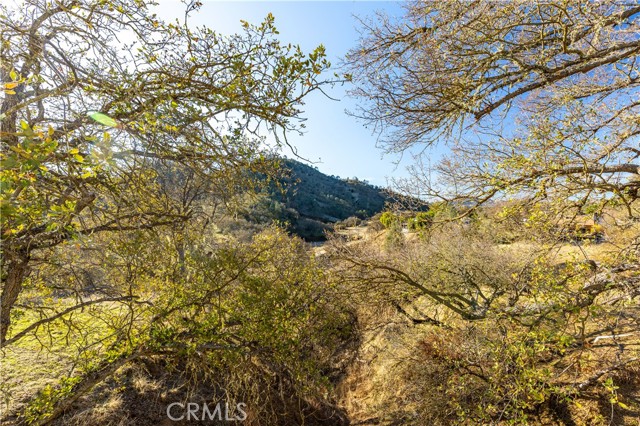 Detail Gallery Image 27 of 35 For 5085 Bluebird Ln, Paso Robles,  CA 93446 - 3 Beds | 2 Baths