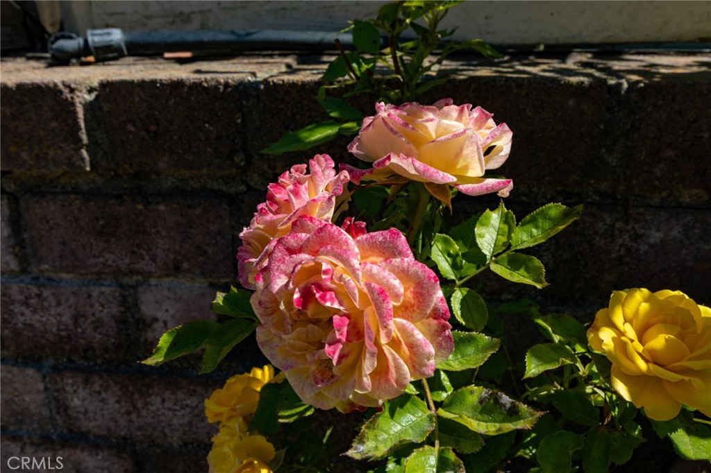 https://media.crmls.org/medias/7854739c-37b6-46fa-8a5d-fce155b55bf3.jpg?preset=X-Large