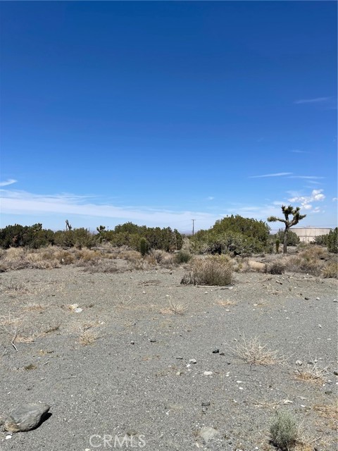 0 Coyote, Pinon Hills, CA, 92372 0 Coyote, Pinon Hills, CA, 92372