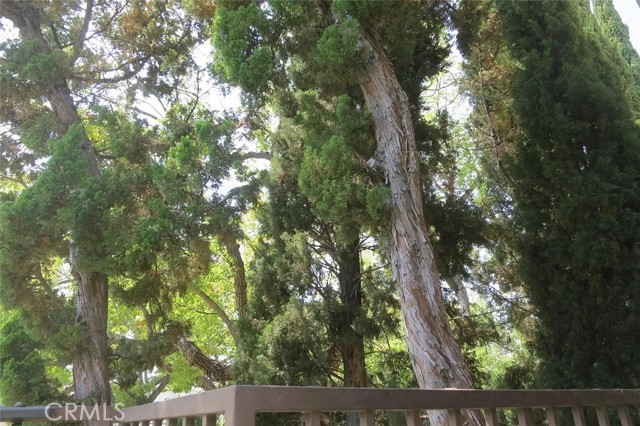 Detail Gallery Image 21 of 33 For 631 San Jose #F,  Burbank,  CA 91501 - 1 Beds | 1 Baths