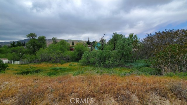 0 Rimford Drive Drive, Elizabeth Lake, California 93532, ,Land,For Sale,0 Rimford Drive Drive,CRSR23075504