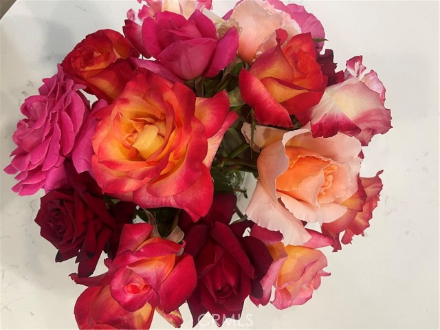 Detail Gallery Image 53 of 53 For 40083 Corte Lorca, Murrieta,  CA 92562 - 2 Beds | 2 Baths