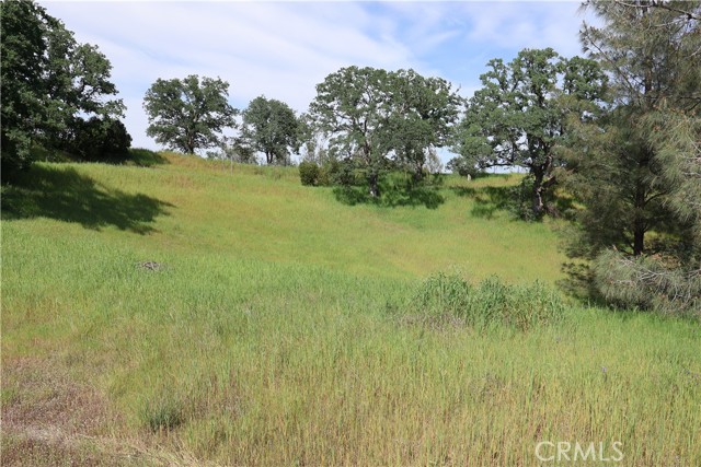 Front Image Thumbnail for CRSN26071561