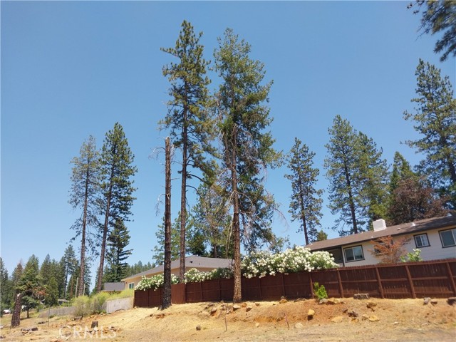 1667 Wagstaff Road, Paradise CA: https://media.crmls.org/medias/7864ed11-82ac-4180-af07-a7b18374bd56.jpg