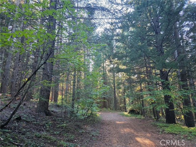 Detail Gallery Image 19 of 22 For 0 Muledeer Rd., Weed,  CA 96094 - – Beds | – Baths