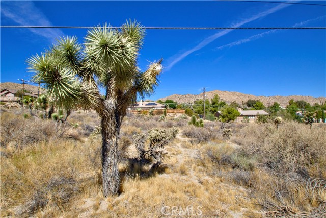 Detail Gallery Image 5 of 20 For 3 Parcel 03 29 Palms Hwy, Yucca Valley,  CA 92284 - – Beds | – Baths