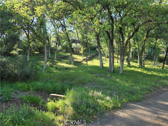 Detail Gallery Image 3 of 4 For 6176 Armijo Ave, Clearlake,  CA 95422 - – Beds | – Baths