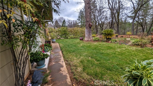 Detail Gallery Image 32 of 47 For 15004 Woodland Park Dr, Forest Ranch,  CA 95942 - 3 Beds | 2/1 Baths