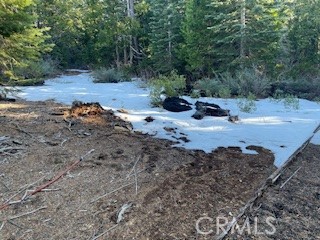 Detail Gallery Image 6 of 8 For 11041 Last Chance Mine Rd, Nevada City,  CA 95959 - – Beds | – Baths