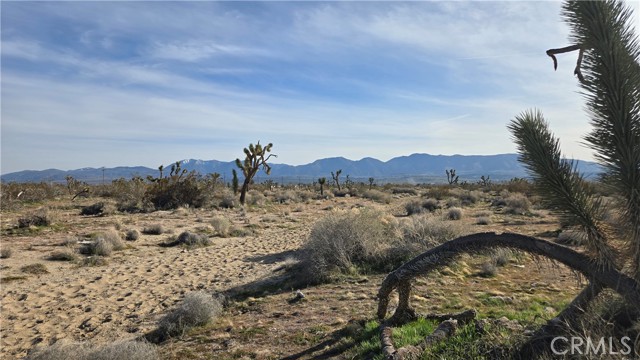 Detail Gallery Image 15 of 21 For 0 115th St East S/O Ave S, Littlerock,  CA 93543 - – Beds | – Baths