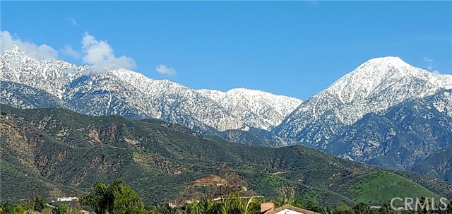 Detail Gallery Image 35 of 35 For 860 Emerson St, Upland,  CA 91784 - 4 Beds | 3 Baths