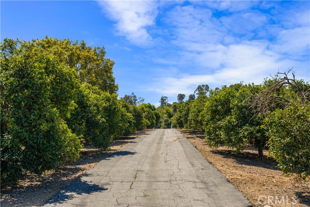 4960 Sleeping Indian Road, Fallbrook, California 92028, 4 Bedrooms Bedrooms, ,4 BathroomsBathrooms,Residential,For Sale,Sleeping Indian Road,SW24081467