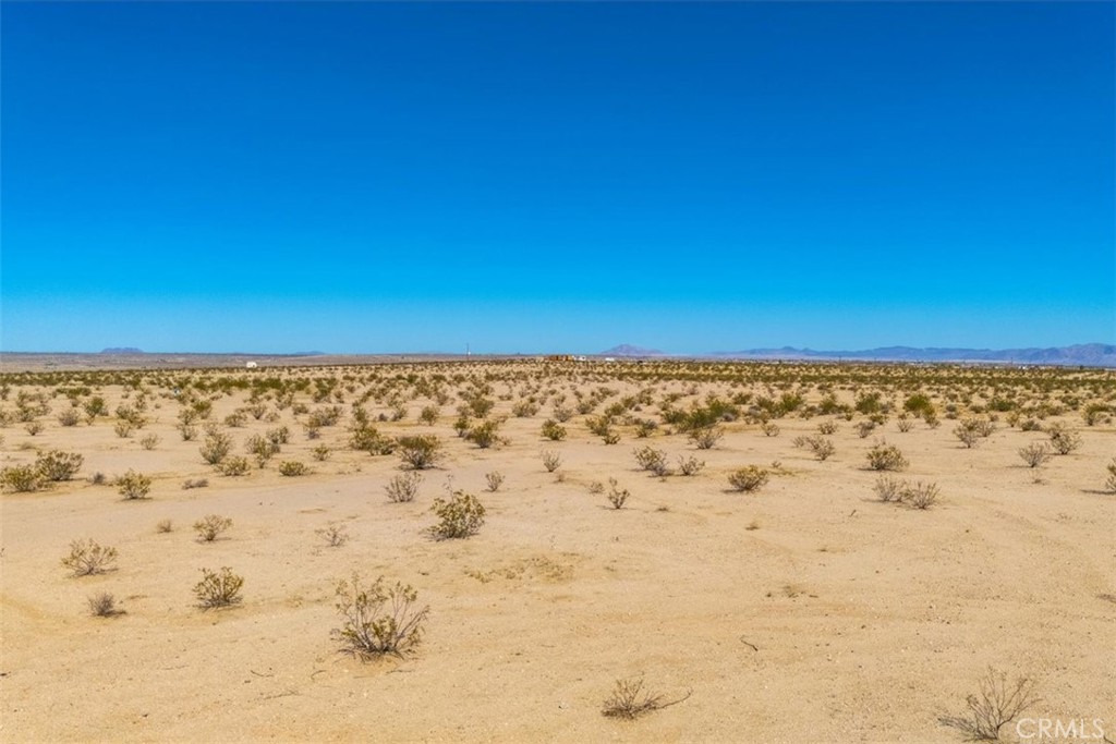 MLS #JT25225678 image #17