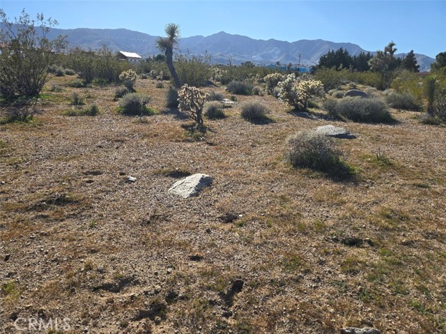 Detail Gallery Image 6 of 18 For 32573 Azurite, Lucerne Valley,  CA 92356 - – Beds | – Baths