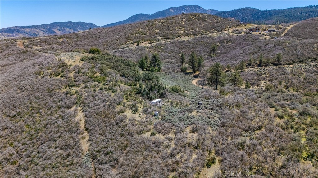 MLS #PI25088989 img 1