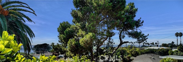 251 Viejo Street, Laguna Beach CA: https://media.crmls.org/medias/78b68377-ddc5-4a68-8008-f6e0c7c5a497.jpg