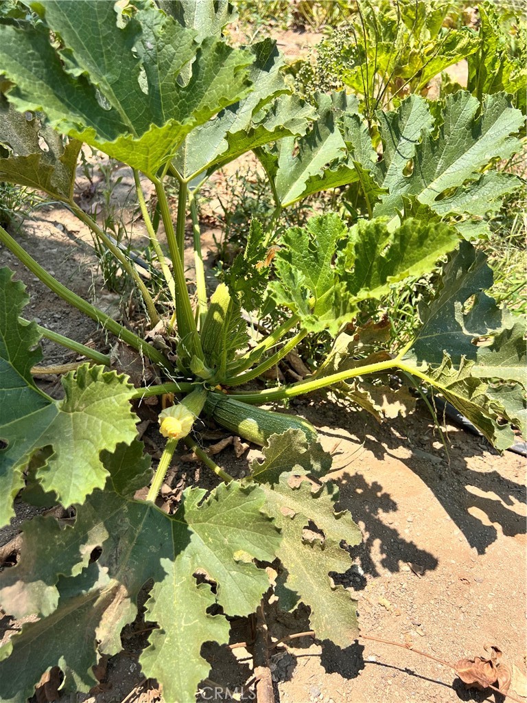 MLS #OC23188579 img 8