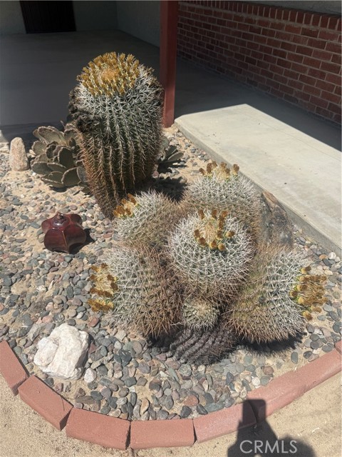 Detail Gallery Image 2 of 53 For 73776 Manana, Twentynine Palms,  CA 92277 - 2 Beds | 1 Baths