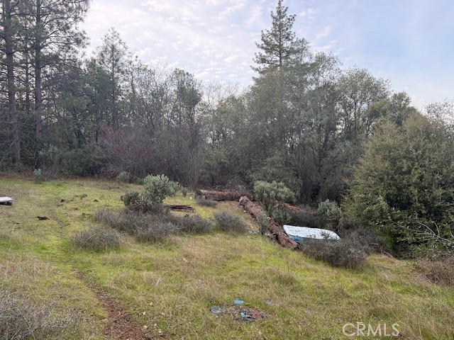 Detail Gallery Image 6 of 20 For 0 Rex Lane, Oroville,  CA 95966 - – Beds | – Baths