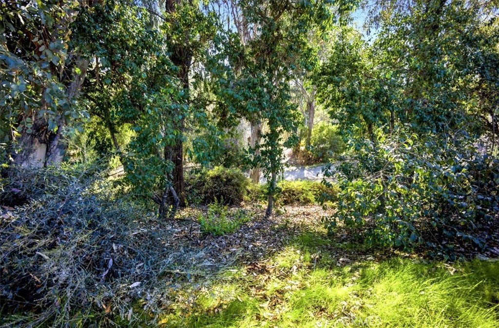 MLS #PW25278232 image #28