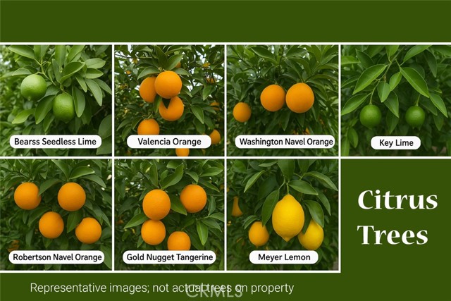 Detail Gallery Image 45 of 54 For 4795 Bain St, Jurupa Valley,  CA 91752 - 4 Beds | 4/1 Baths