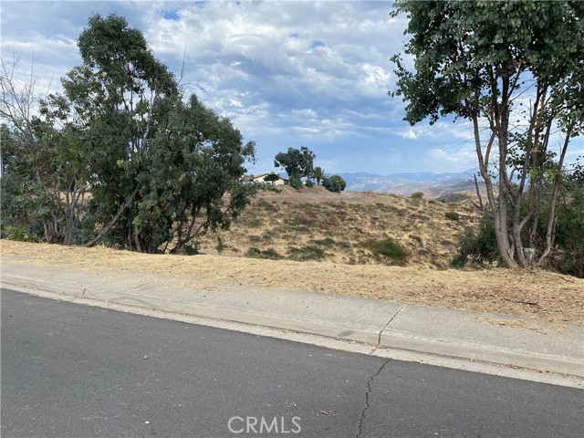 0 Calle Los Arboles, Spring Valley, California 91978, ,Residential Land,For Sale,Calle Los Arboles,AR24148155