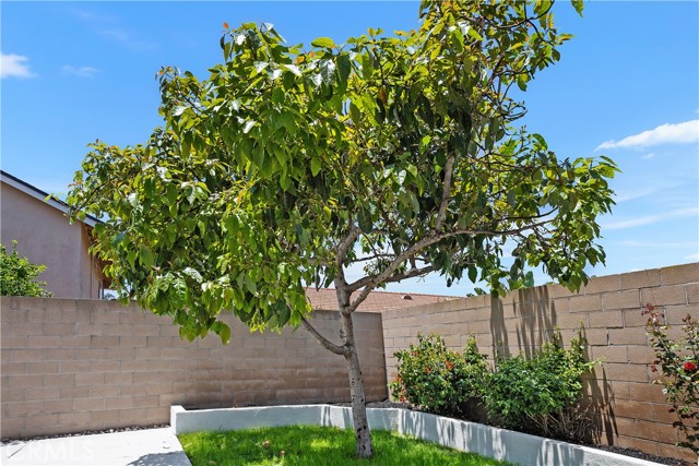 3614 S Olive Street, Santa Ana CA: https://media.crmls.org/medias/78c6b01a-4ee9-4dc2-87cb-0d411412604b.jpg