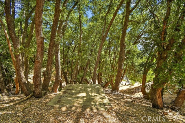 Detail Gallery Image 36 of 38 For 460 Delle Dr, Crestline,  CA 92325 - 4 Beds | 2 Baths