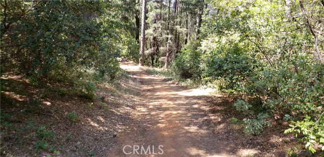 Detail Gallery Image 5 of 14 For 0 Lumberjack Road, Oroville,  CA 95965 - – Beds | – Baths