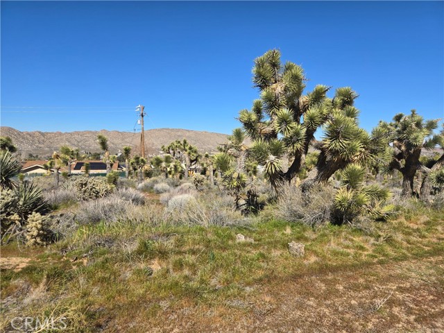 Front Image Thumbnail for CRJT26033697