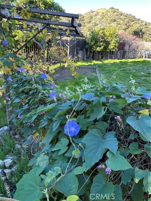 Detail Gallery Image 16 of 19 For 9241 Pali, Tujunga,  CA 91042 - 3 Beds | 2 Baths