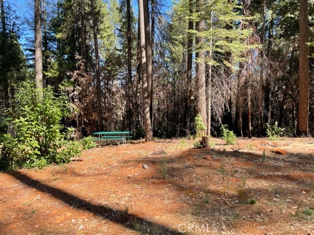 0 Big Fir Road, Forbestown, CA 95941
