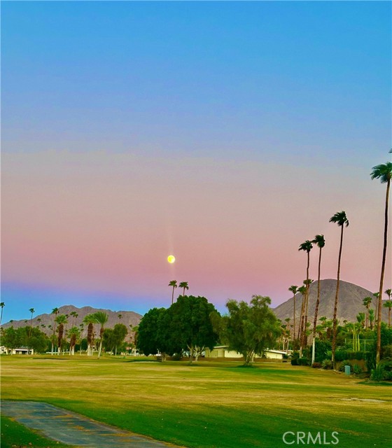 Detail Gallery Image 38 of 42 For 46125 Burroweed Ln, Palm Desert,  CA 92260 - 2 Beds | 2 Baths