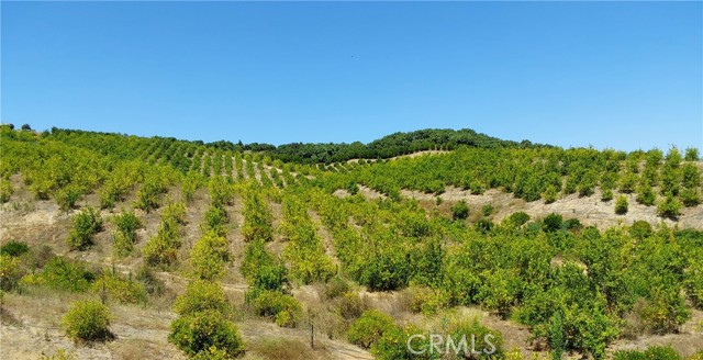 5 De Anza Road, Temecula CA: https://media.crmls.org/medias/78e61003-5c43-4e53-903a-a7e891123f8b.jpg