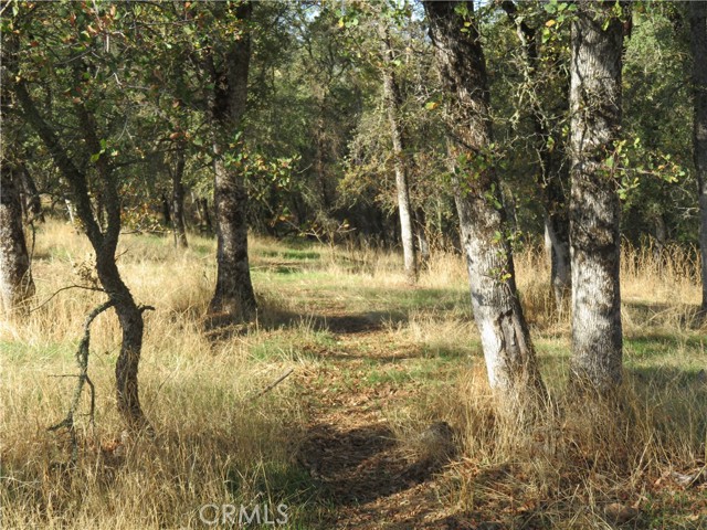 3465 Foothill Boulevard, Oroville, California 95966, ,Land,For Sale,3465 Foothill Boulevard,CROR23208825