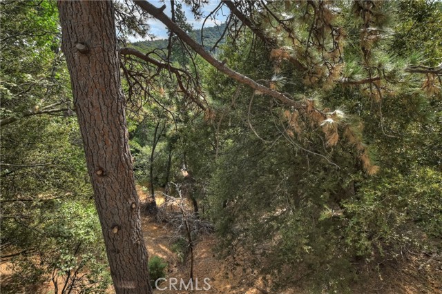 Detail Gallery Image 28 of 37 For 319 Dorn Dr, Crestline,  CA 92325 - 2 Beds | 1/1 Baths