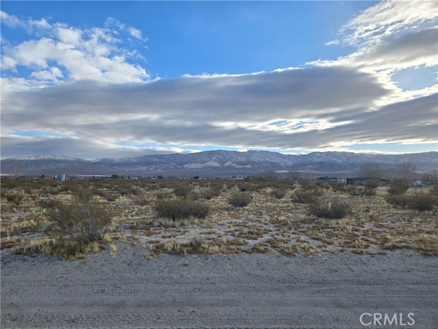 Detail Gallery Image 1 of 7 For 5 Acres Colby St, Lucerne Valley,  CA 92356 - – Beds | – Baths