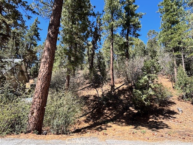 Detail Gallery Image 5 of 6 For 0 E Rainbow Bld, Big Bear City,  CA 92314 - – Beds | – Baths