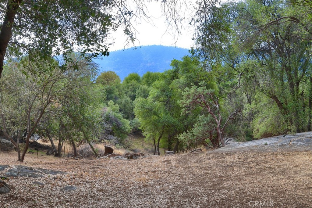 https://media.crmls.org/medias/78f0930e-6d0c-487d-b349-71309331da6c.jpg?preset=X-Large