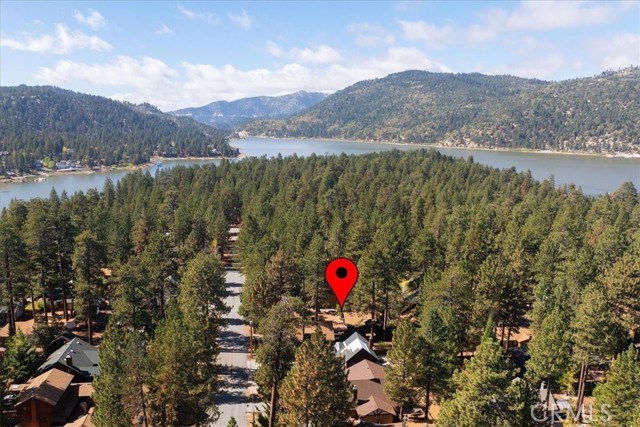 39196 Starview Lane, Big Bear Lake, CA 92315