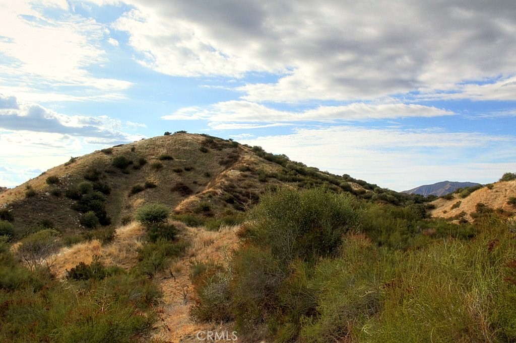 MLS #IG25034144 img 59