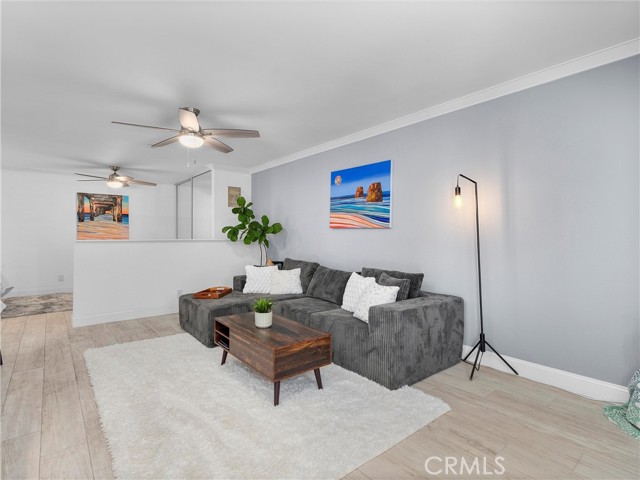 Ceiling Fans