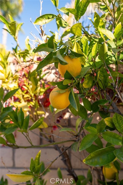 Detail Gallery Image 46 of 50 For 23450 Bristol Way, Murrieta,  CA 92562 - 4 Beds | 2/1 Baths