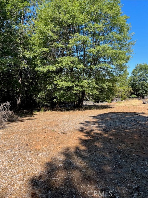 9003 Fox, Cobb, CA, 95426 9003 Fox, Cobb, CA, 95426
