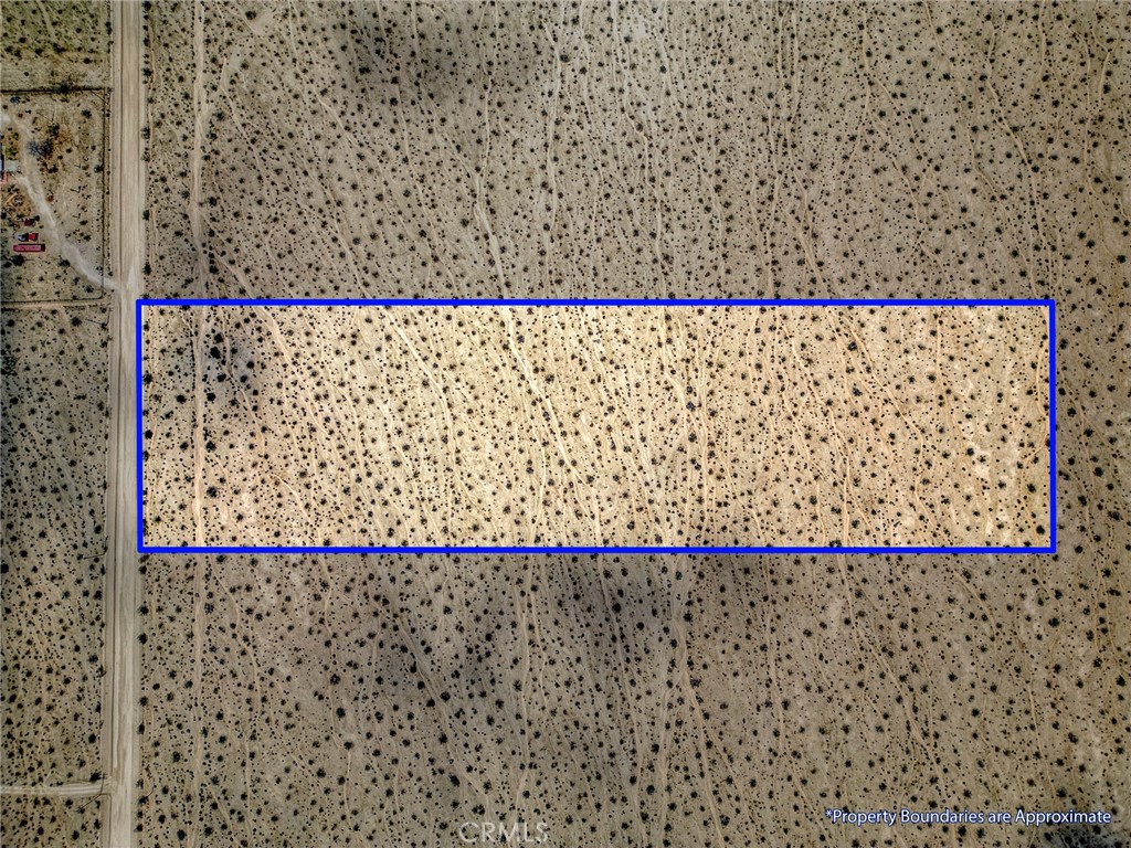 MLS #JT25253211 image #14