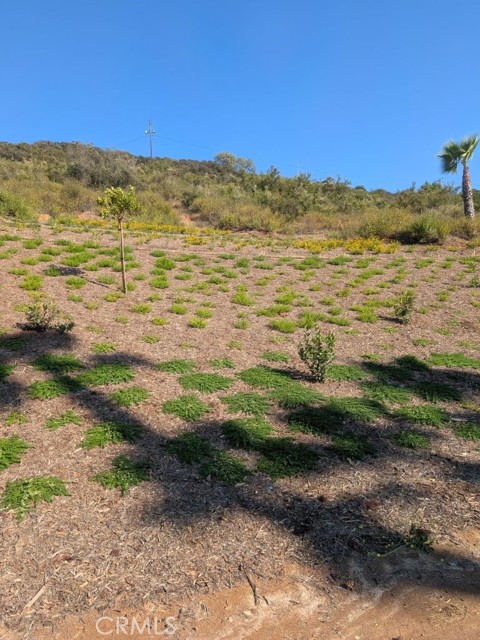 4287 Rosa Rancho Lane, Fallbrook CA: https://media.crmls.org/medias/790cdace-b65b-4bf1-b1aa-9c182ba6b6be.jpg