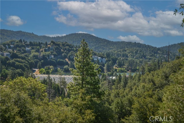 Detail Gallery Image 36 of 37 For 237 E Zermat Dr, Crestline,  CA 92325 - 4 Beds | 3/1 Baths